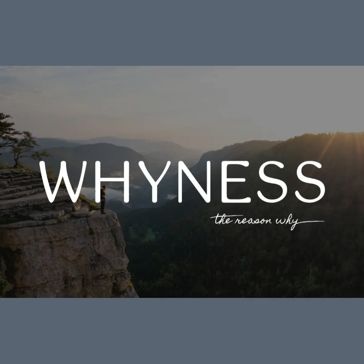 Logo Whyness Dvlp - RH - Services Sàrl