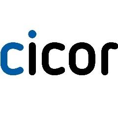 Logo Cicorel SA