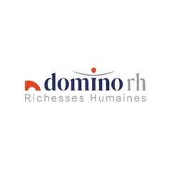 Logo DOMINO SWISS RH