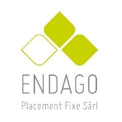 Logo Endago Placement fixe sàrl