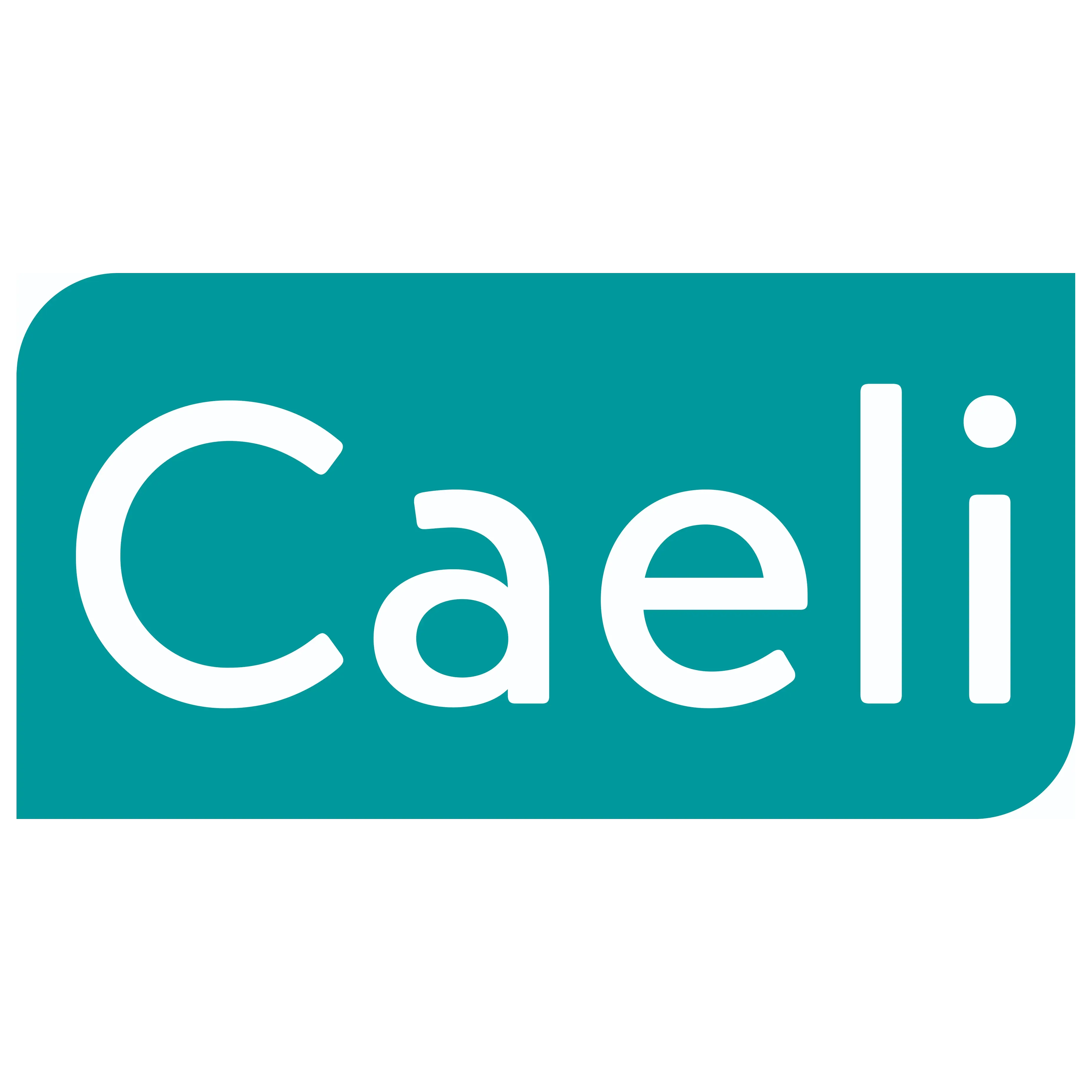 Logo Caeli ingénierie SA
