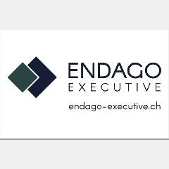Logo Endago Executive