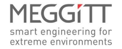 Logo MEGGITT SA