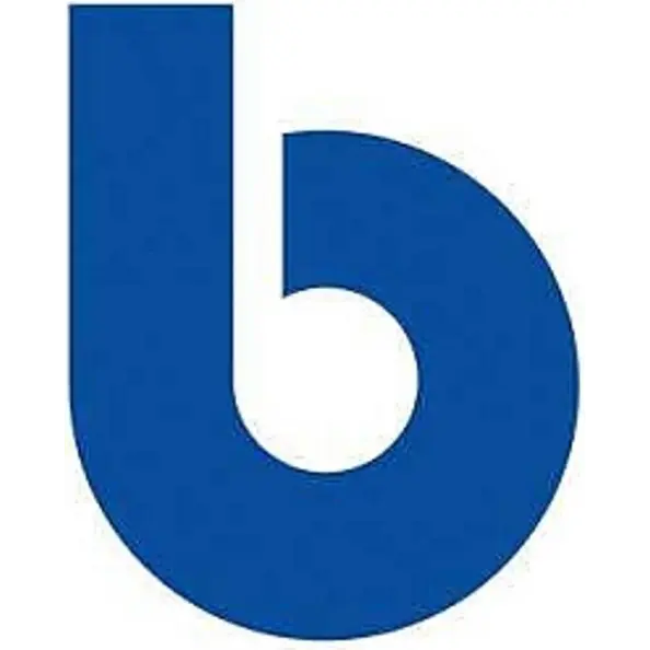 Logo Bachema AG