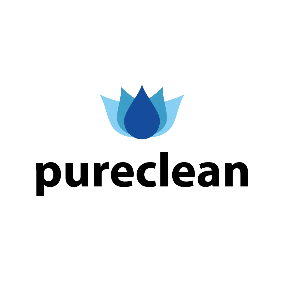 Logo PureClean Delgado Ponce