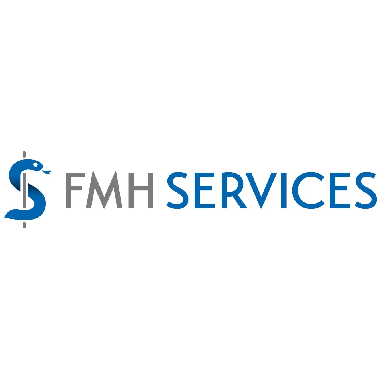 Logo FMH Consulting Services AG