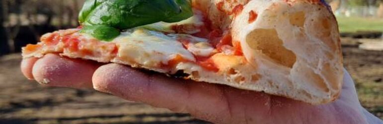 Nous recherchons un vendeur (euse) / pizzaiolo (a) pour FOOD TRU – annonce 7871558