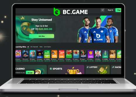 The Complete Guide to BC Game Verification